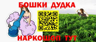 индика Жуковский