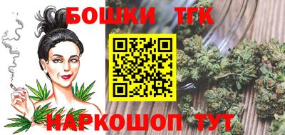 индика Жуковский