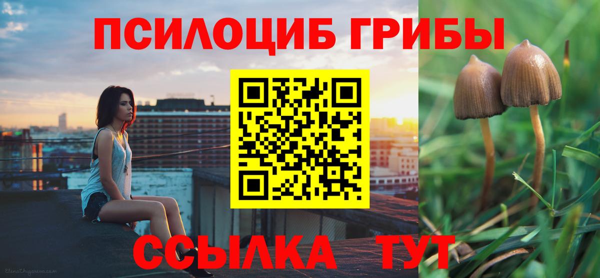 Егорьевск  Галлюциногенные грибы GOLDEN TEACHER  Вход с VPN  Галлюциногенные грибы мухоморы 